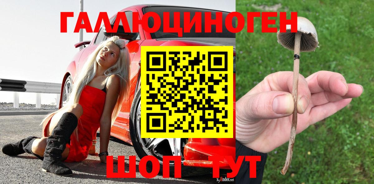 Псилоцибиновые грибы Psilocybe  Вход с VPN  Черногорск 